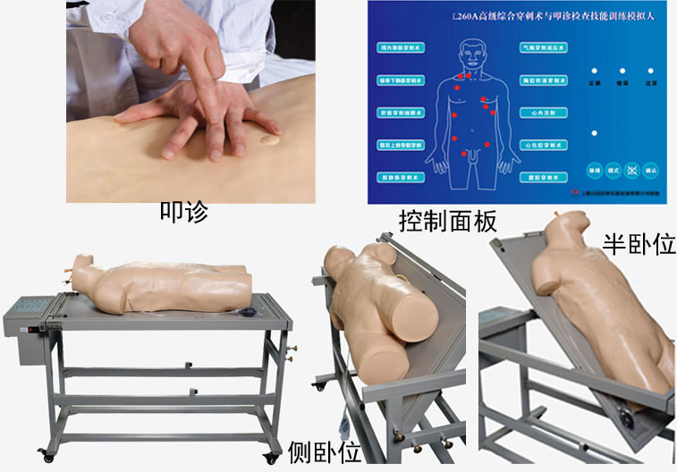 高级综合穿刺术与叩诊检查技能训练模拟人