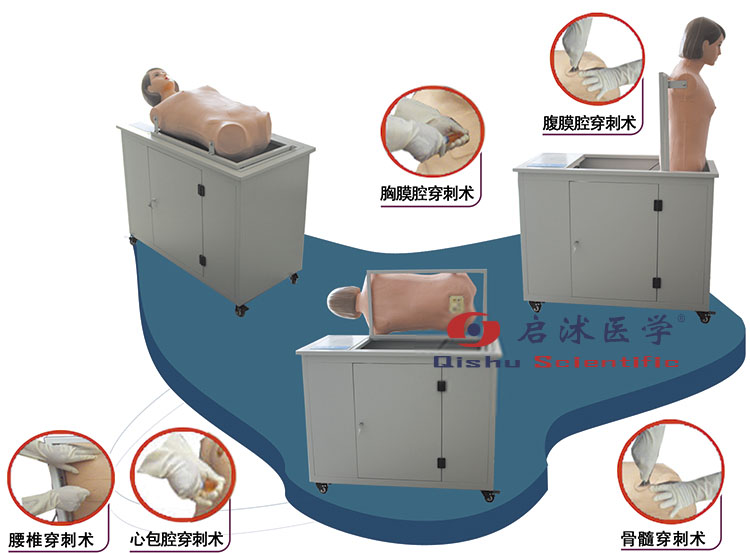 全自动多种穿刺叩诊电脑模型