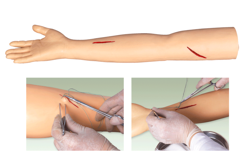 高级外科缝合手臂模型