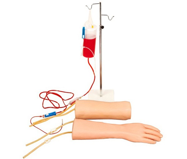 手部、肘部组合式静脉输液（血）训练手臂