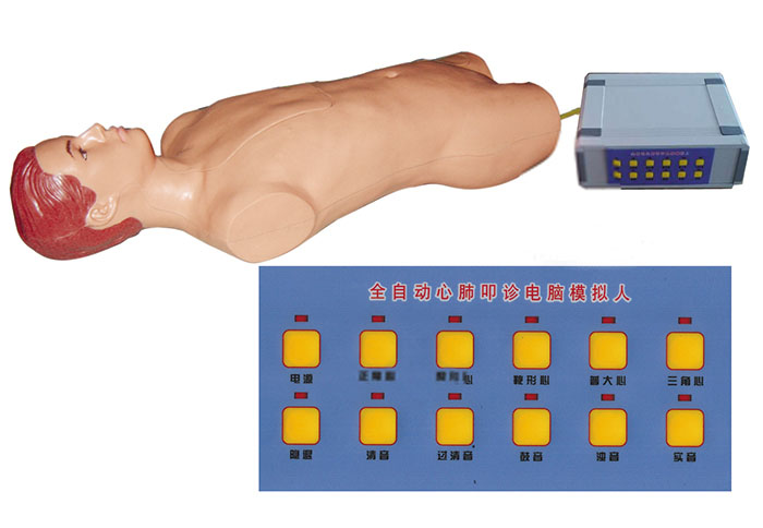 全自动心肺叩诊电脑模拟人