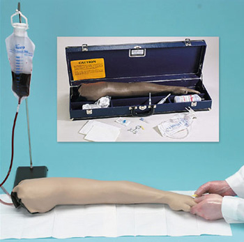 成人静脉注射及穿刺手臂模型-美国纳斯LF00698U