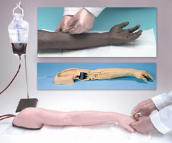 精装静脉注射及穿刺手臂模型-美国纳斯LF01121U
