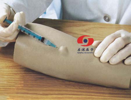 高级手臂皮内注射模型