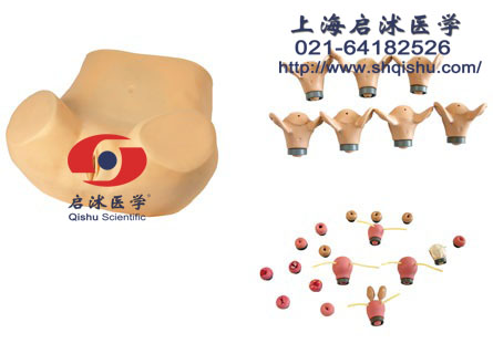 高级妇科综合检查训练模型