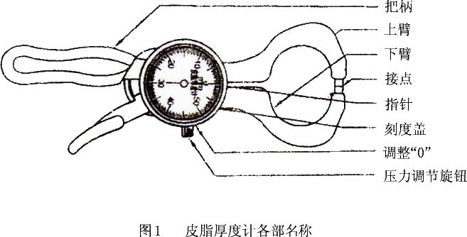 皮脂厚度计说明