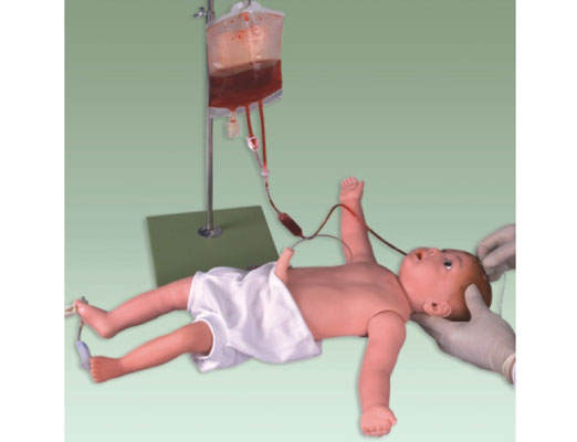 婴儿全身静脉穿刺训练模型