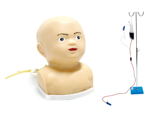 婴儿头皮静脉输液模型