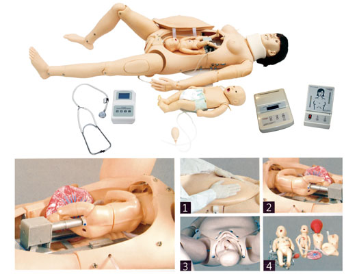 分娩演示模型