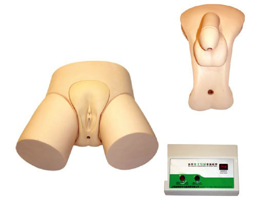 电子检测男性导尿模型