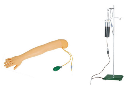 高级手臂动脉穿刺及肌肉注射训练模型