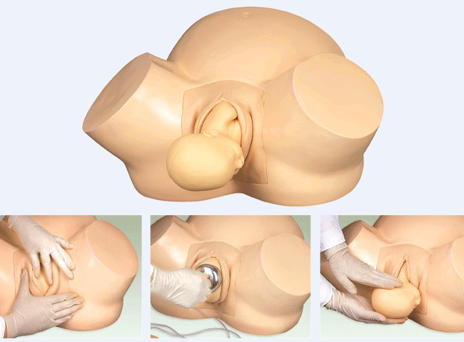 分娩助产训练模型