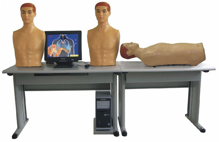 智能化心肺检查和腹部检查教学系统（学生试验机）