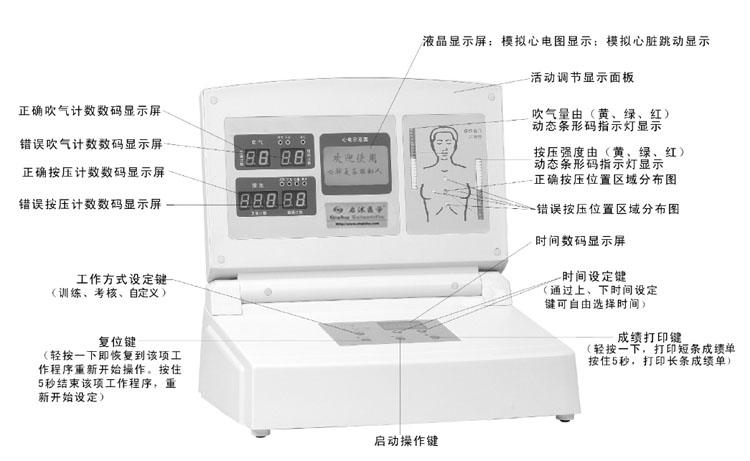 心肺复苏模型控制器