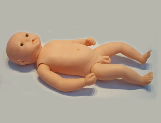 高级出生婴儿模型