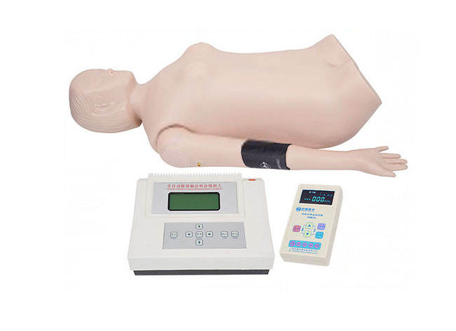 全自动腹部触诊听诊模拟人（带血压测量）