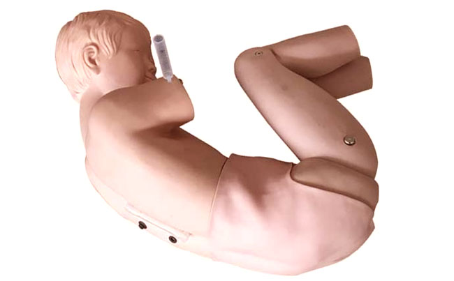 儿童腰椎穿刺训练模型