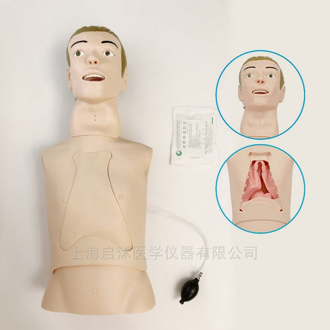 鼻胃管及口腔护理模拟人