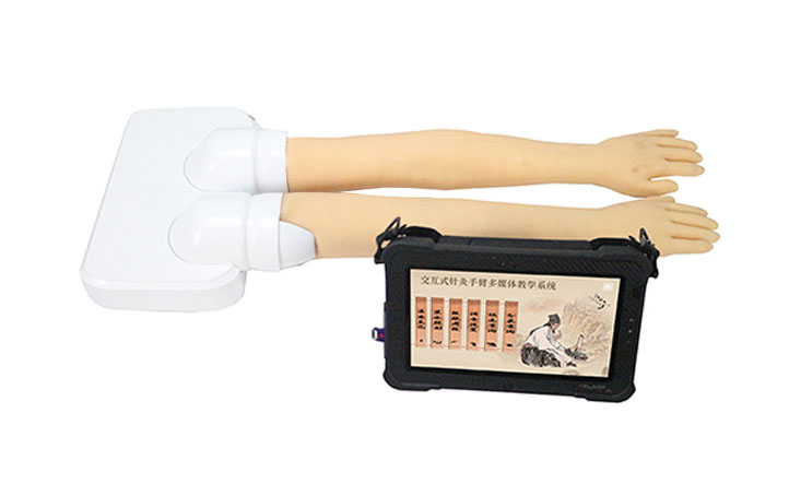 多媒体交互式针灸手臂训练模型教学系统