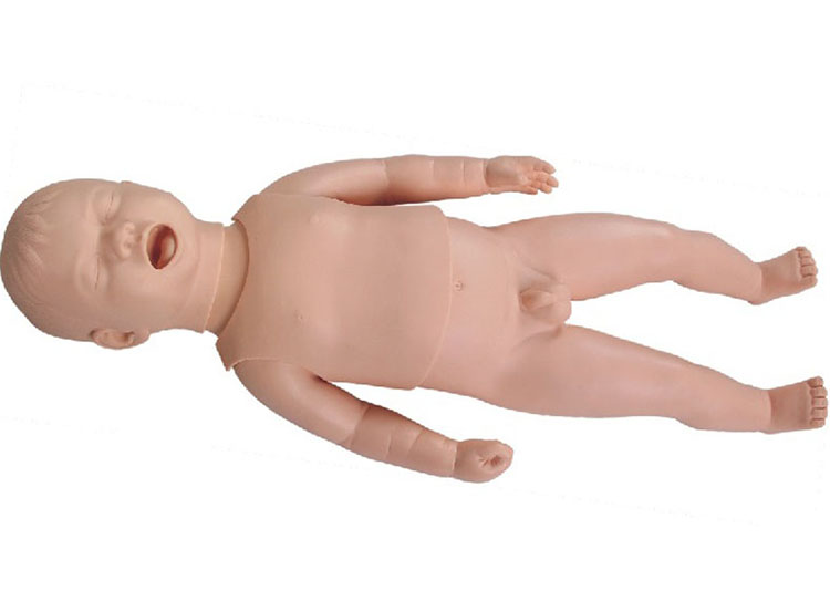 婴幼儿生长指标测量模拟人