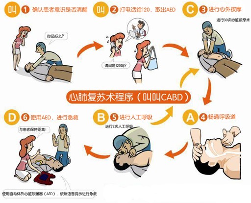 心肺复苏训练示意图